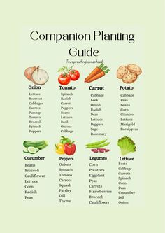 the complete guide to garden plants and vegetables