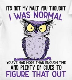 an owl saying it's not my fault you thought i was normal, you've had more than enough time and plenty of clues to figure that out