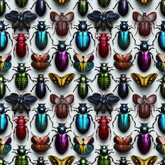 Colorful Beetle Fabric - ineedfabric.com Colourful Beetle, Fabric Insects, Fabric Beetle, Beetle Wallpaper Insects, Beatles Fabric By The Yard, Dickson Tennessee, Digital Print Fabric, Display Screen, White Canvas