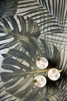 two coconuts on a palm leaf with white cream