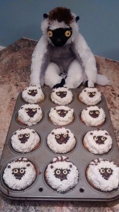 a stuffed animal sitting on top of a muffin pan filled with cupcakes