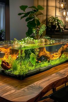 an aquarium filled with plants and rocks on top of a wooden table next to a window