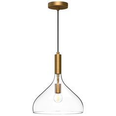 a glass and brass pendant light hanging from a ceiling fixture with an open bulb on the end