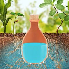 a bottle filled with blue liquid sitting on top of a dirt ground next to plants