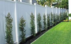 a long white fence is lined with small trees