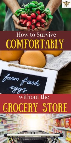 a grocery cart with eggs in it and the words how to survive comfortably without the grocery store