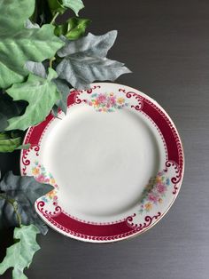 a red and white plate sitting next to a green plant