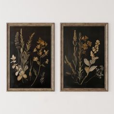 two framed floral paintings on a white wall