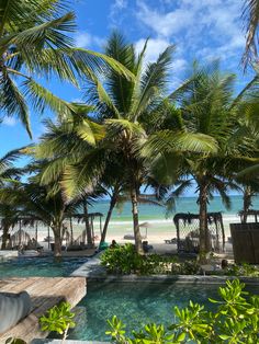 palm trees line the beach in front of a pool