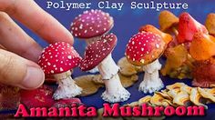 an advertisement for polymer clay sculpture featuring mushrooms