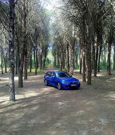 a blue car parked in the middle of some trees