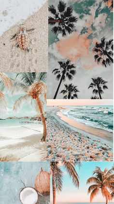 four different pictures with palm trees and coconuts on the beach, one is blue