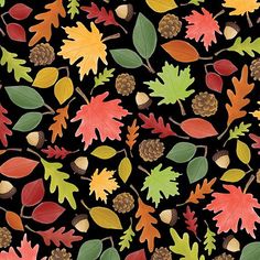 an image of autumn leaves and acorns with pine cones on black background for wallpaper