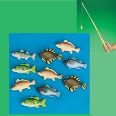 a person holding a fishing pole next to a bunch of fish on a blue and green background