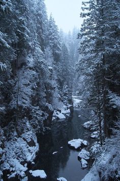 a river surrounded by trees covered in snow