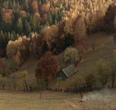 a small cabin in the middle of a field with trees and hills in the background