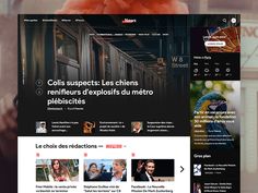 the wordpress theme is clean and ready to be used for an article or website