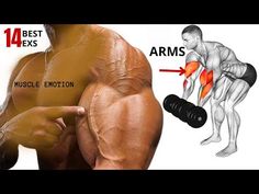 an image of the arm muscles and how to use it for muscleing workouts