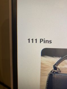 an image of a woman's purse displayed on a computer screen with the number 11 pins