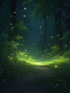 a path in the middle of a forest with fireflies