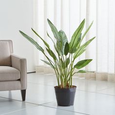 a potted plant sitting on top of a white tile floor next to a chair