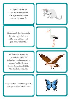 the different types of birds and their names are shown in this graphic diagram, which shows how