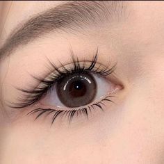 Vision Bored, Bentuk Alis, Eyelash Primer, Perfect Eyelashes, Eyelash Lift, Asian Eyes