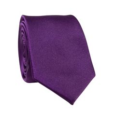 DAZI Plum Solid Polyester Satin Tie Sophisticated Wardrobe, Boys Ties, Fabric Swatch, Tie Bar, Polyester Satin, Elevate Your Look, Fabric Swatches, Fabric Samples, Kids Accessories