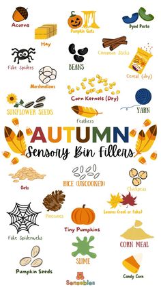 an autumn poster with pumpkins, leaves and other things in the shape of letters