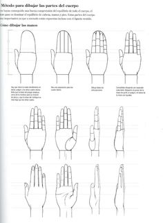 instructions for how to draw hands in different positions and sizes, including the middle fingers