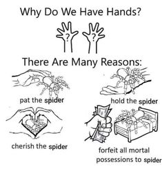 a poster with instructions on how to use hand sanitizers for spider repellements