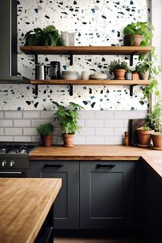 some plants are sitting on shelves in the kitchen