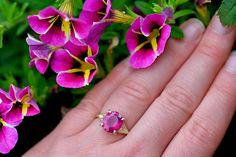 This exquisite Raspberry Rubellite Tourmaline and 14K Gold Ring boasts a captivating, natural pink and magenta gemstone at its center, adorned by eight VS G+ diamonds for extra radiance and placed on a resilient 14K yellow gold band. With its unparalleled durability, this ring is an excellent selection for an individualized and significant engagement ring. Ring and Gemstone Info: ♦️Metal: 14K Yellow Gold ♦️Size: 7 🔹Natural Rubellite Tourmaline: 3.74 cts (10.84 x 9.45mm) 🔸Natural Diamonds: (8 t Pink Oval Ruby Ring With Gemstone Accents, Pink Ruby Ring With Gemstone Accents For Anniversary, Pink Ruby Ring With Gemstone Accents, Rubellite Tourmaline, Solid Gold Ring, Solid Gold Rings, 14k Gold Ring, Ring Ring, Gold Band