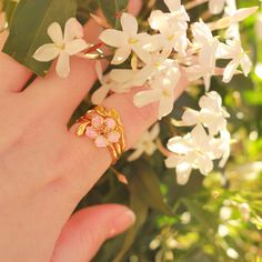 Sakura Rings Set can be worn on either one finger or several fingers. These rings are made from 18k gold and come from nature jewelry collection on Selenichast online shop. This charming Sakura Rings Set evokes a sense of romanticized nostalgia. Crafted with exquisite enamel and carefully cut stones, the rings are a work of art. The dainty design is sure to attract admiring glances, making you feel sophisticated and elegant. Rediscover timeless beauty with this classic set. Gemstone Enamel Ring, Gold Flower-shaped Enamel Ring, Fine Jewelry Pink Enamel Ring, Pink Enamel Ring For Wedding, Pink Enamel Rings For Gift, Fine Pink Enamel Rings, Delicate Gold Plated Ring As Gift, Gold Enamel Flower Ring For Anniversary, Gold Enamel Flower Ring