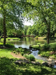 a small river running through a lush green park