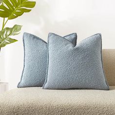 two blue pillows sitting on top of a couch next to a green potted plant