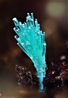 a blue piece of glass sitting on top of some rocks