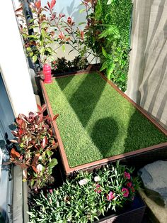 an outdoor area with green grass and plants