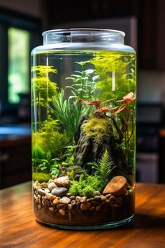 an aquarium with rocks and plants in it sitting on a wooden table next to a window