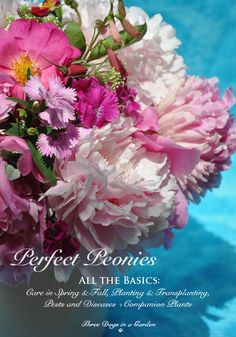 a vase filled with lots of pink and white flowers