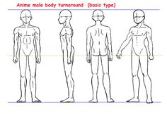 the body is made up of different types of human bodies