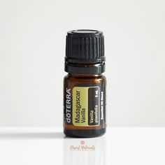 doTERRA Vanilla Essential Oil is familiar and nostalgic. Evocative and romantic.   Prized since the time of the ancient Aztecs, and often used in perfumes, vanilla is one of the most popular aromas in the world, and one of the most expensive to produce. A perennial climbing vine that grows up to 75 feet, the Vanilla planifolia plant is in the Orchid family, with yellow-white flowers that produce odorless pods or beans. Plant blooms must be hand pollinated, and it takes three to four years f Essential Oils Walmart, Doterra Madagascar Vanilla, Vanilla Diffuser Blends, Perfumes Vanilla, Essential Oils Vanilla, Beans Plant, Vanilla Planifolia, Vanilla Plant, Esential Oils