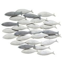 a group of fish on a white background