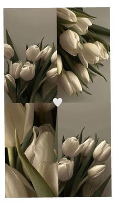 three pictures of white tulips with a heart in the middle