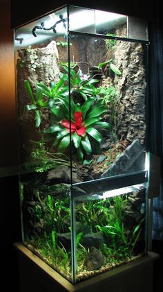 an aquarium with plants and rocks in it