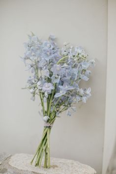 a bouquet of blue flowers sitting on top of a stone slab in front of a white wall