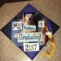 a graduation cap with the words my human graduating written on it and a dog's head