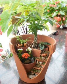 🍁🧡Spring at the Greenhouse 2022 Micro, Small, Intimate, Tiny Wedding Venue  Virginia🍁🧡 Broken Pot Garden, Kaktus Dan Sukulen, Fairy Garden Containers, Seni Dan Kraf, Plants Indoor, Garden Containers, House Plants Decor, Fairy Garden Diy