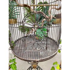 a bird in a cage sitting on top of a table next to a potted plant