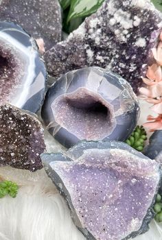 Super cute amethyst geode & clusters from Brazil! Some are geode ends (like if you opened a rock), some are clusters, and some just pieces. The large standing amethyst with white chalcedony has 'sugar' druzy coating all over it!! The one small cluster is full of gold rutile too. Beautiful formations and a cute look. Cool Crystals, Gold Crystal Necklace, Rock Queen, Crystal Vibes, Crystal Properties, Crystal Aesthetic, Shiny Objects, Crystal Formations, Crystals Healing Properties